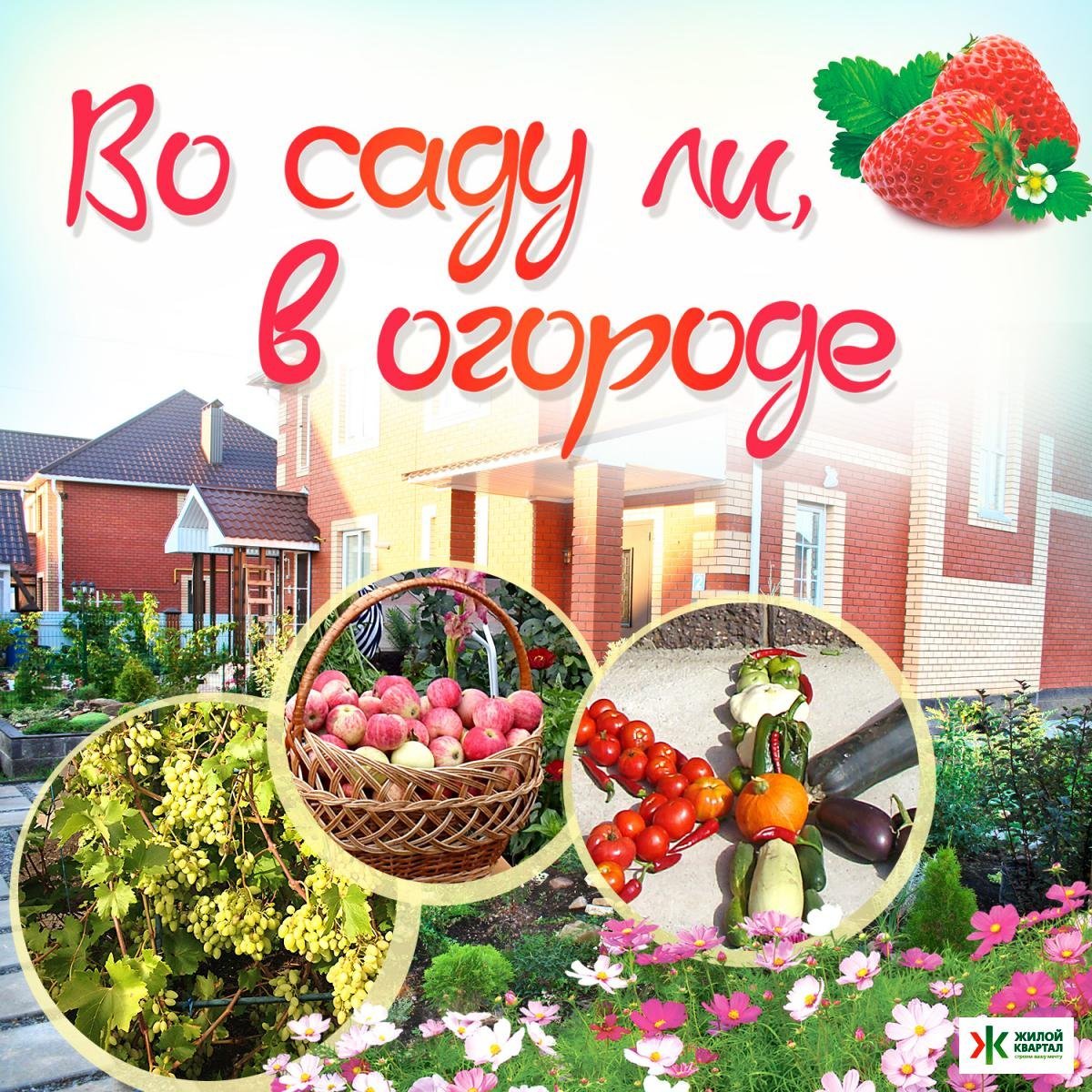 Во саду ли, в огороде