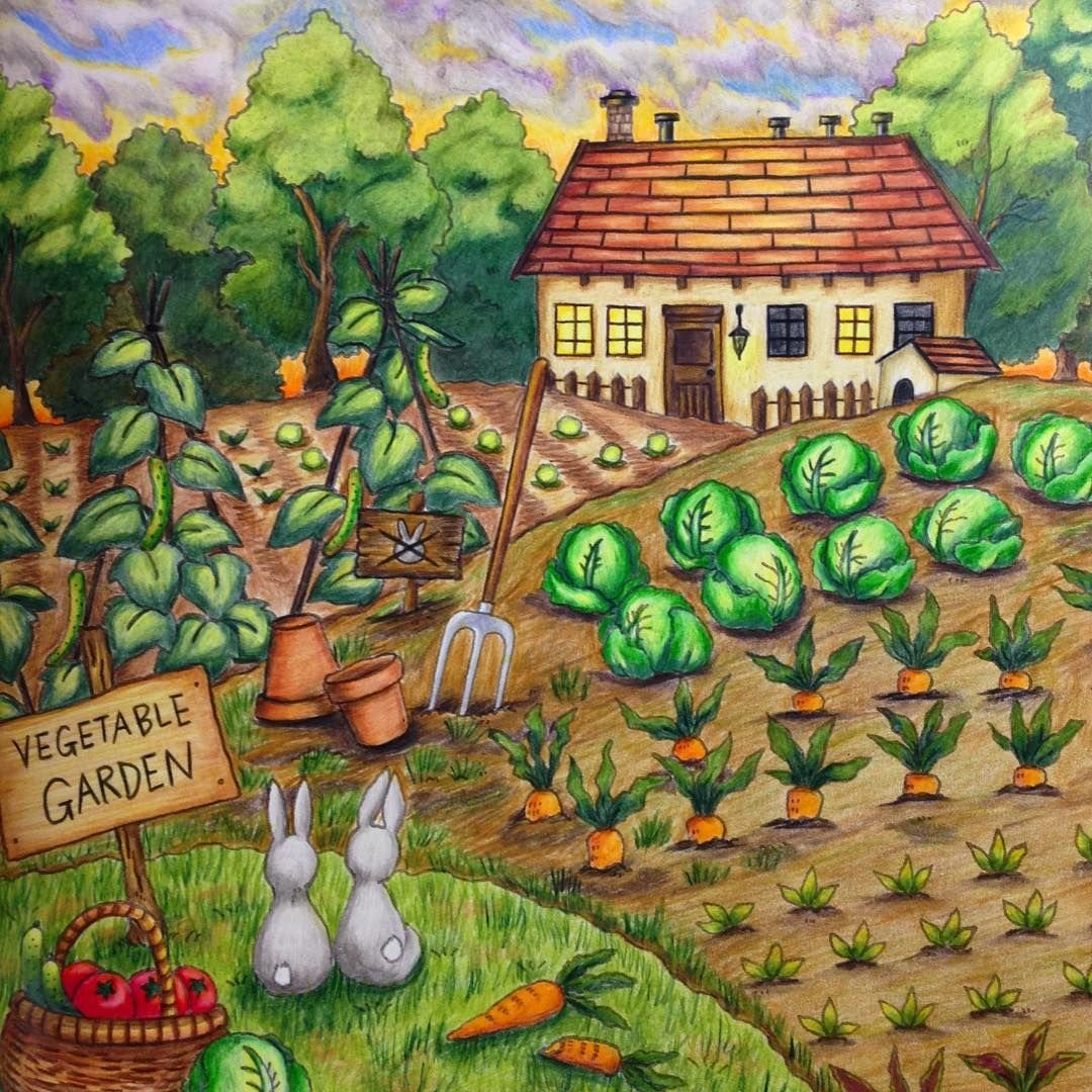 Рисунок на тему огород