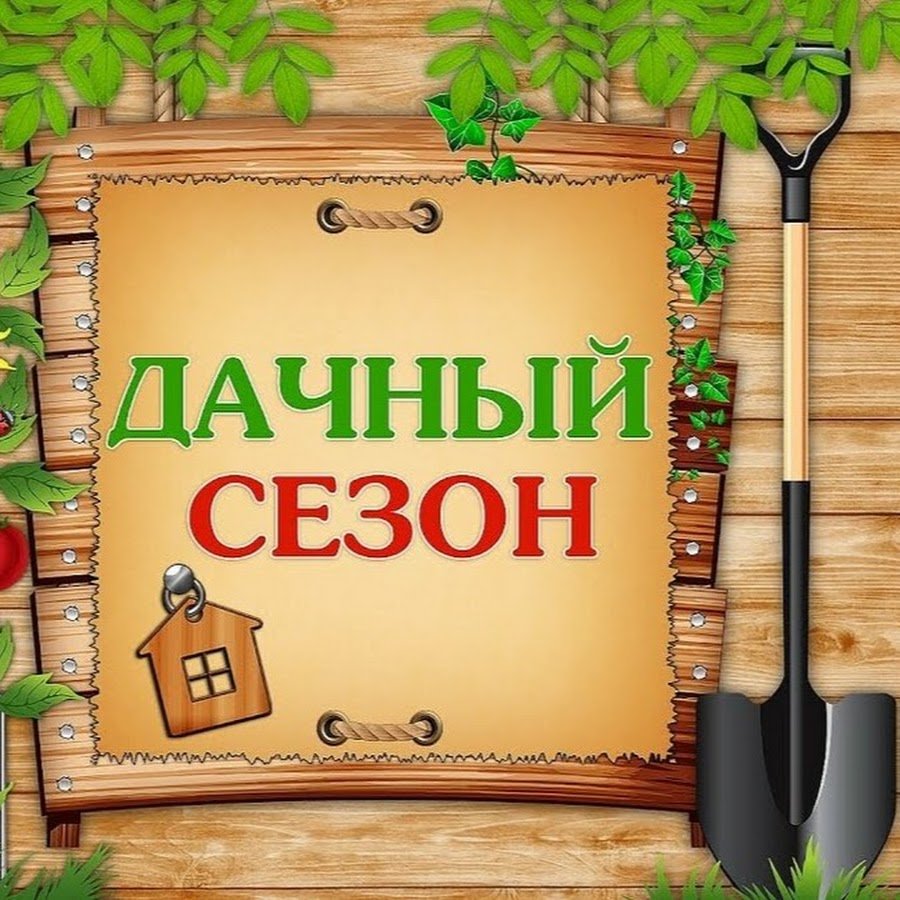 Дачный сезон открыт
