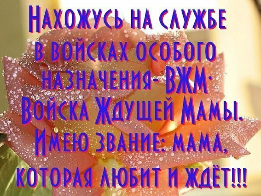 Мама ждёт сына с армии