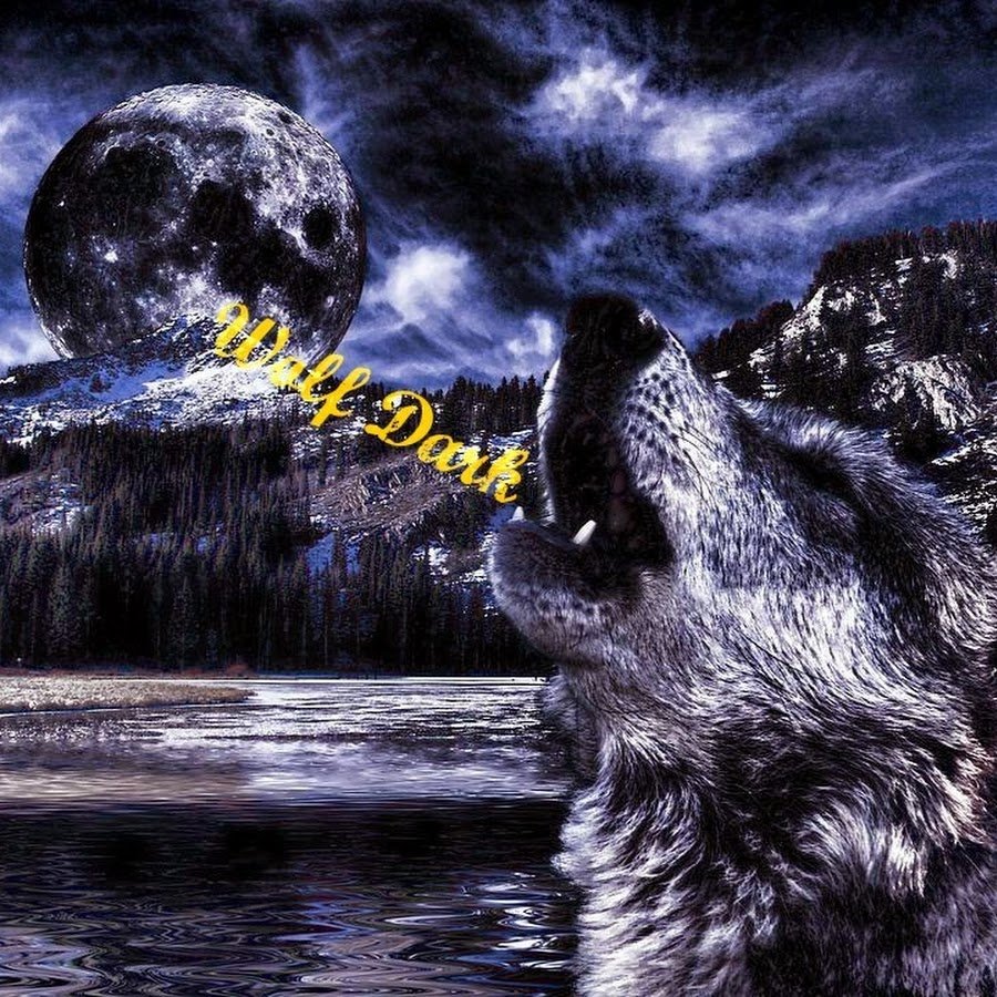 Волк ночь Луна