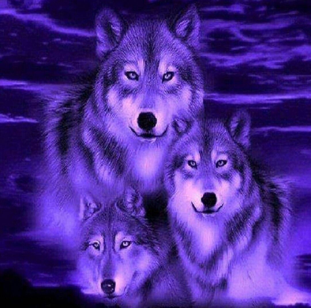 Мигающие волки