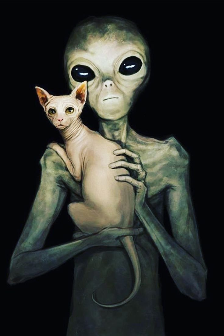 Кошки инопланетяне