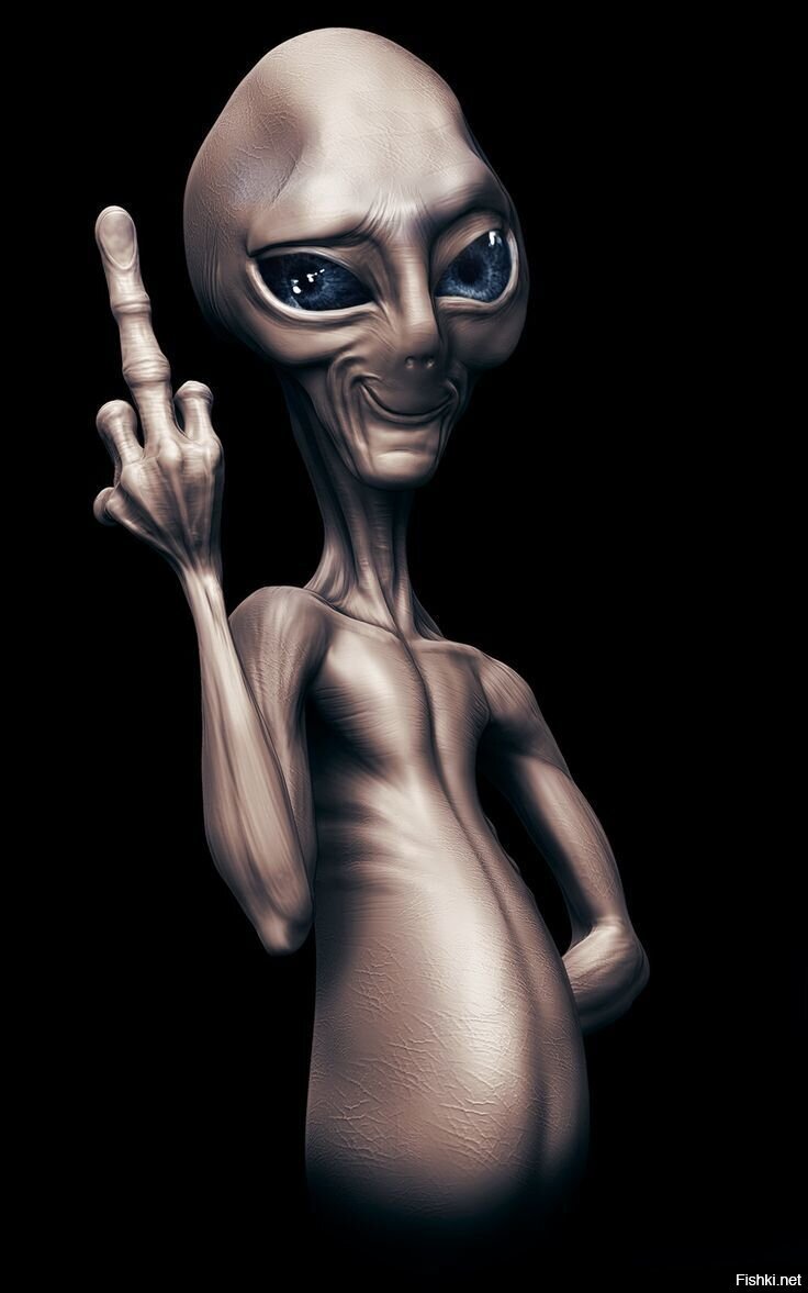 Пол секретный материальчик Art