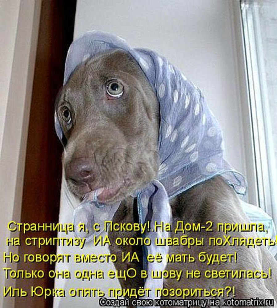 Открытки привет прикольные