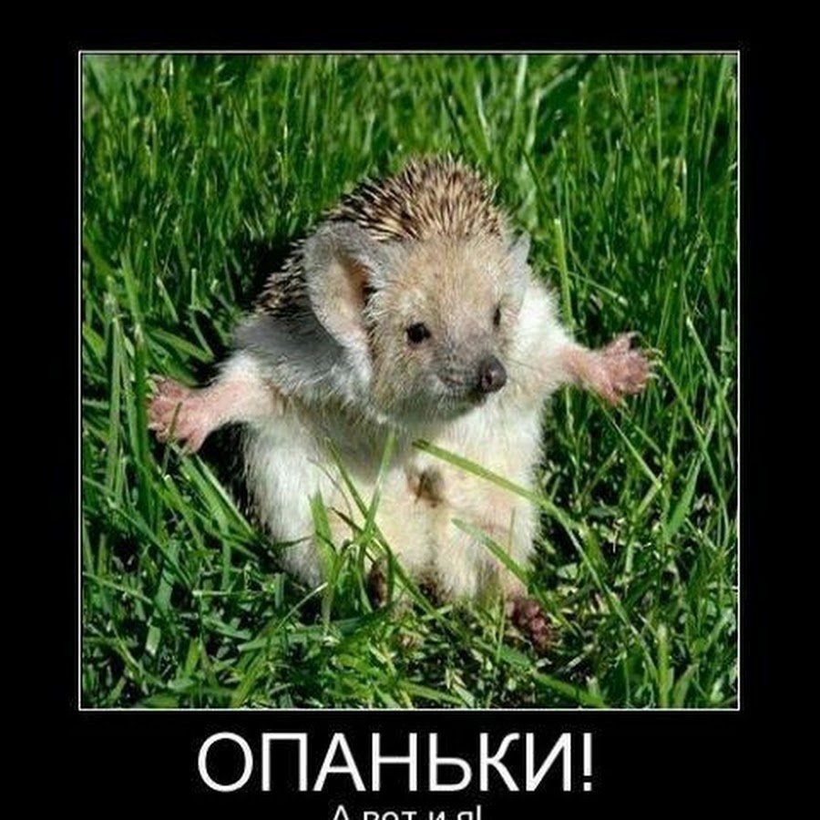 И снова Здравствуйте доброе утро