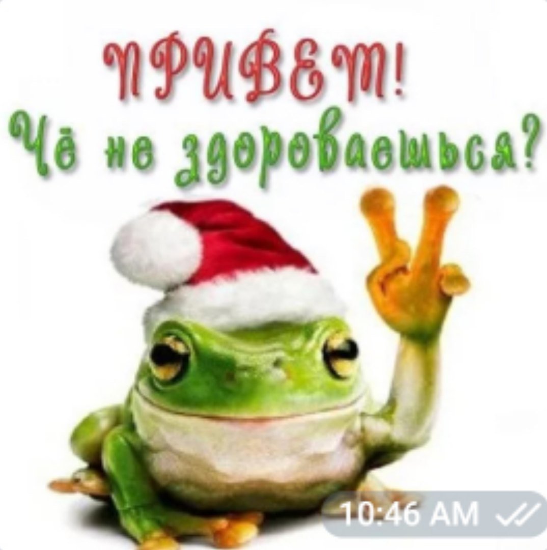 Здрасте картинки прикольные смешные