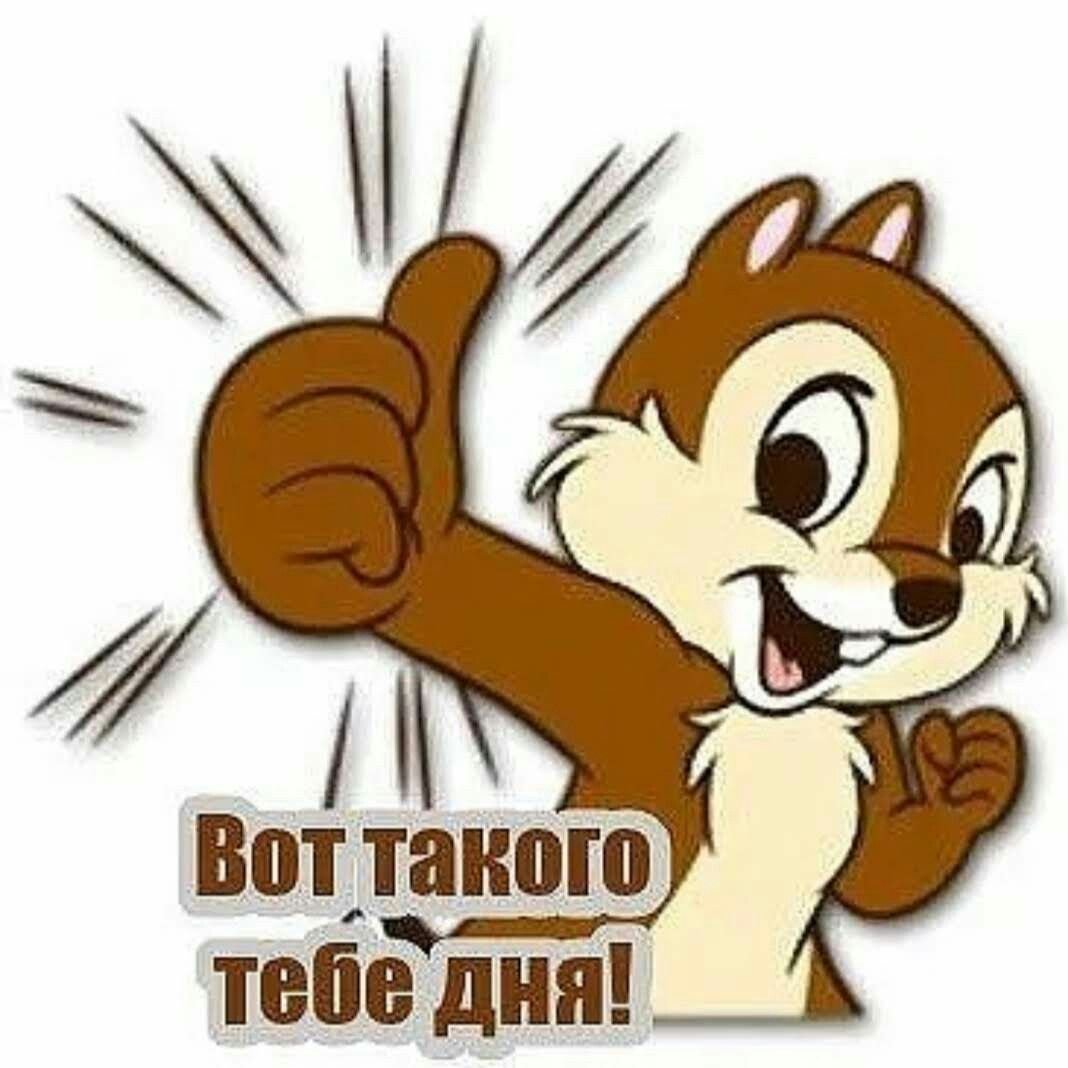Тамбовский волк тебе товарищ