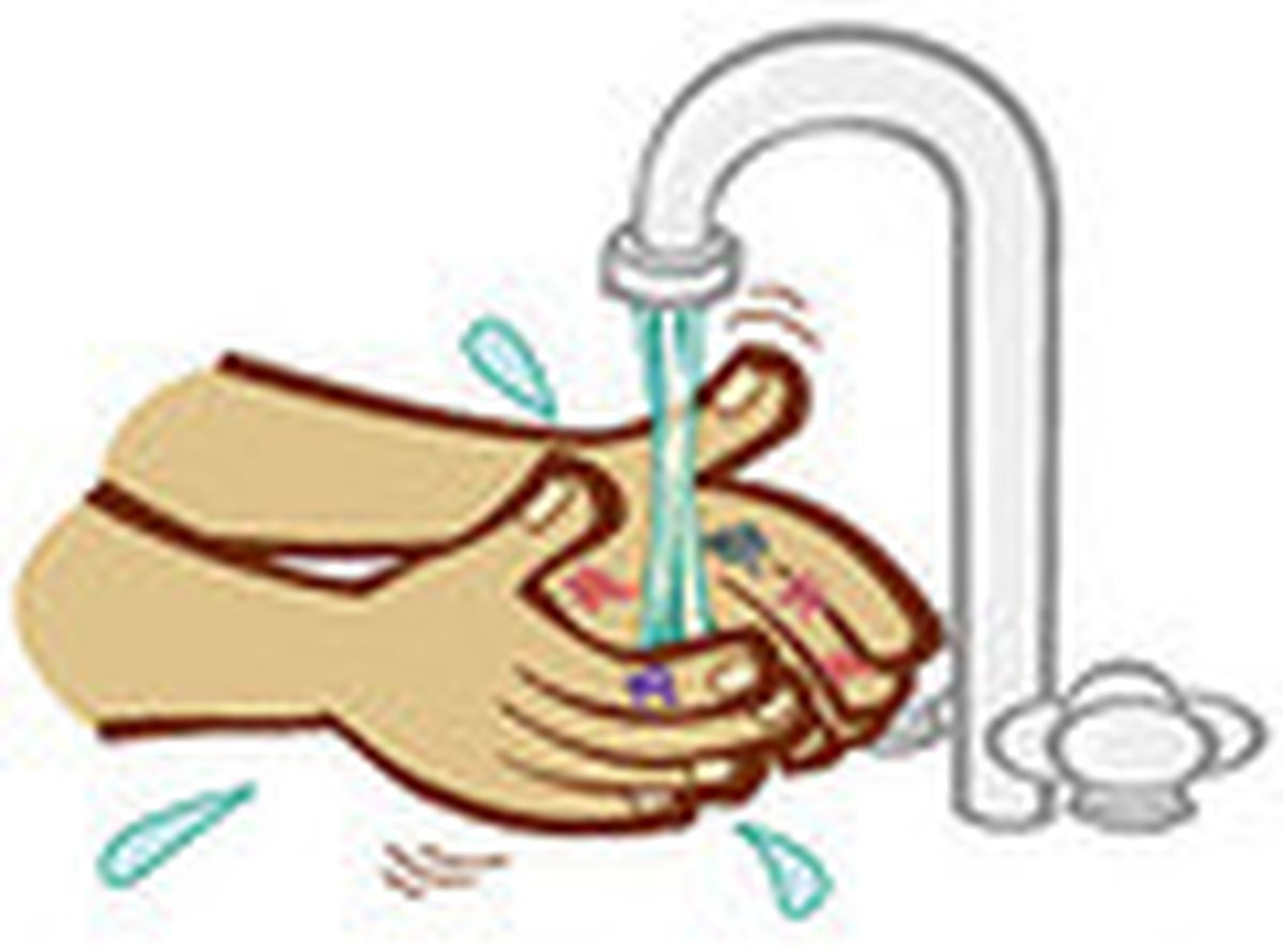Окружающий мир 1 класс мыть руки