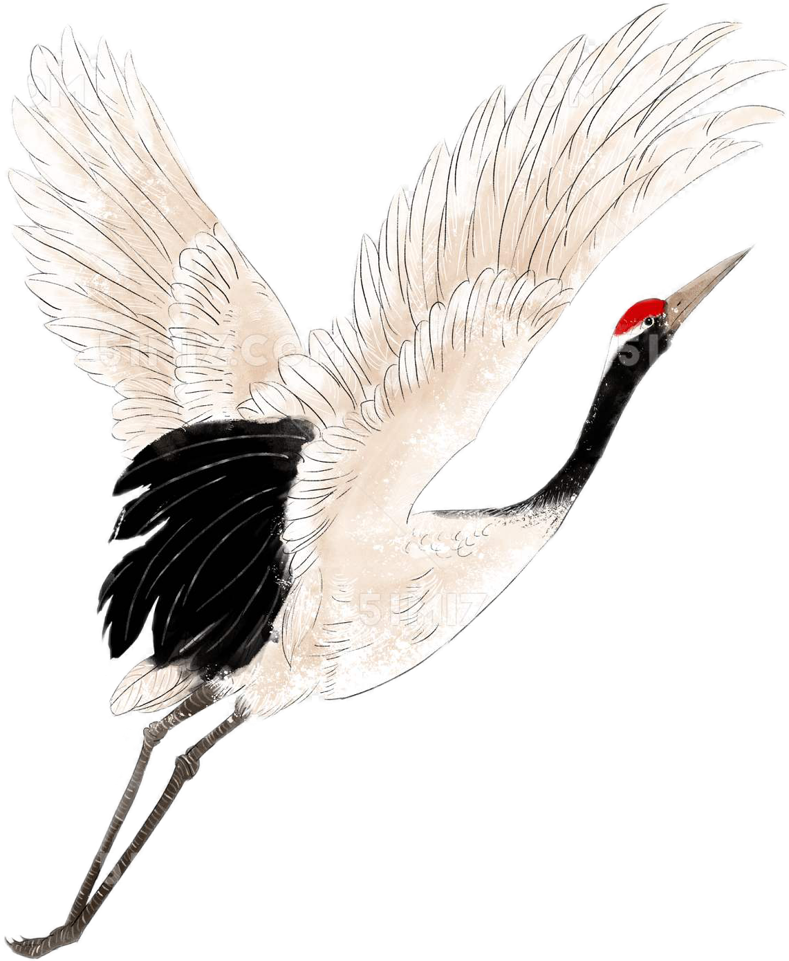 Журавли в небе без фона