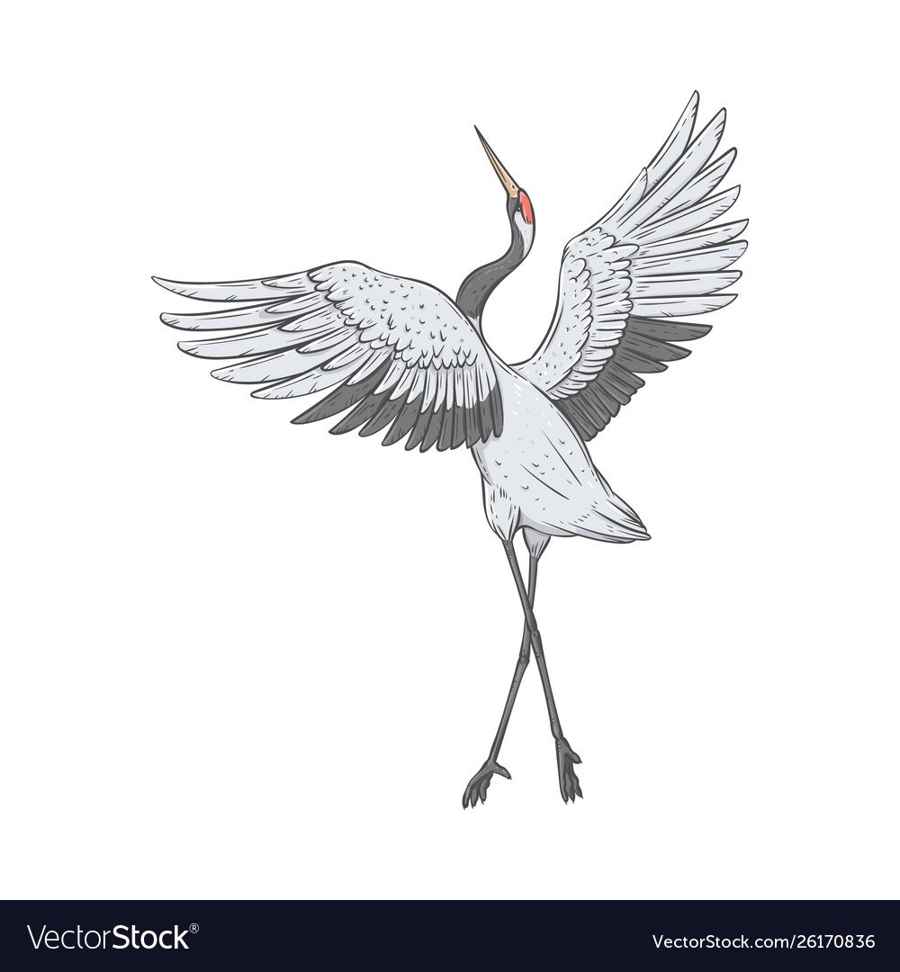 Журавль стоящий на одной ноге силуэт
