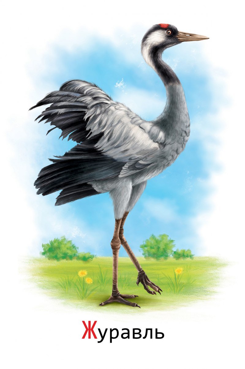 Белый журавль символ