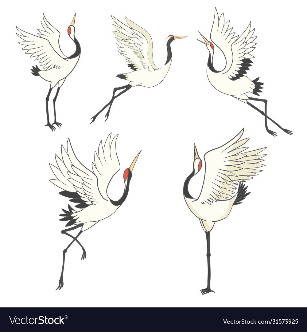 Журавль без фона