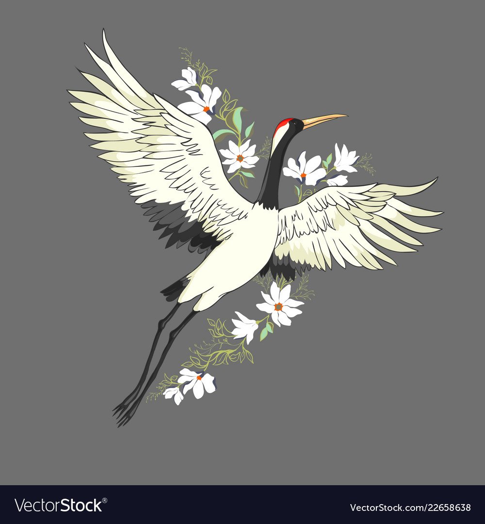 Аист в полете на белом фоне