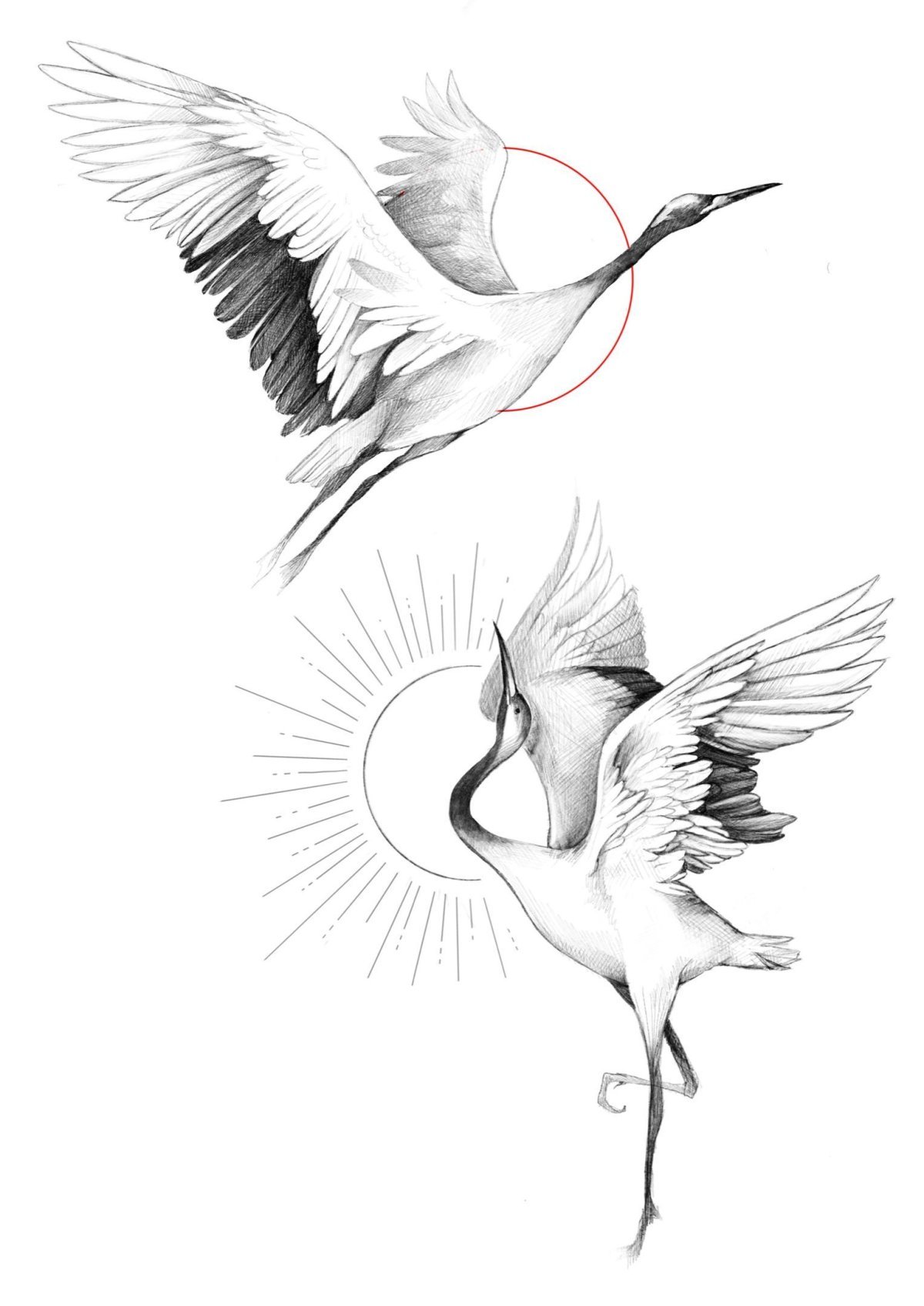 Журавль фэнтези