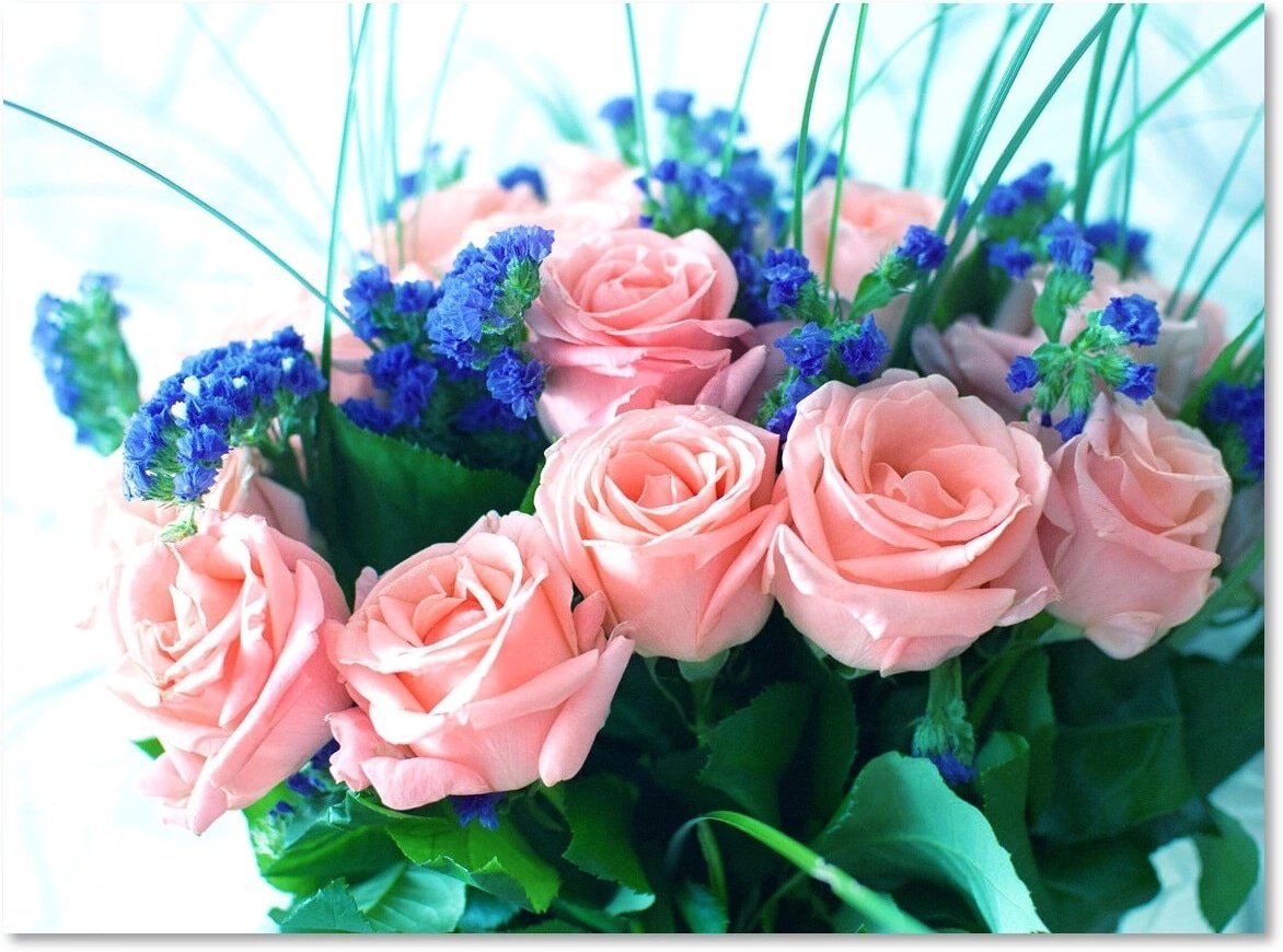 Пожелания доброго дня