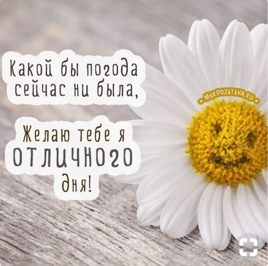 Открытки с пожеланиями