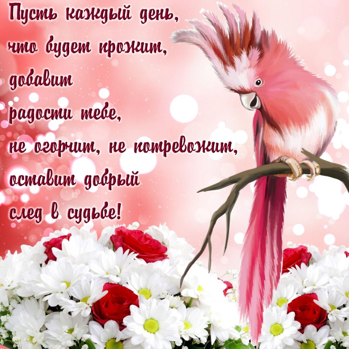 Пожелания доброго дня женщине