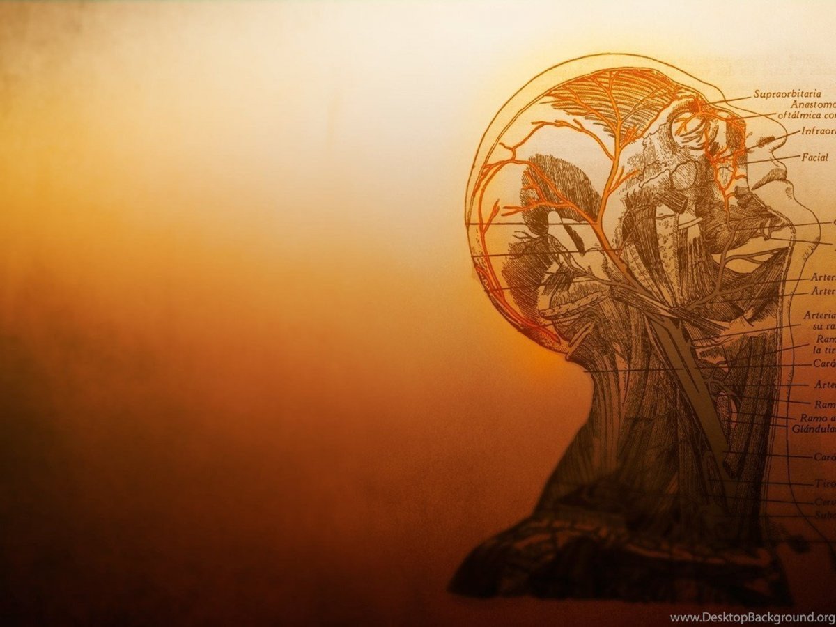 Фон для презентации по философии