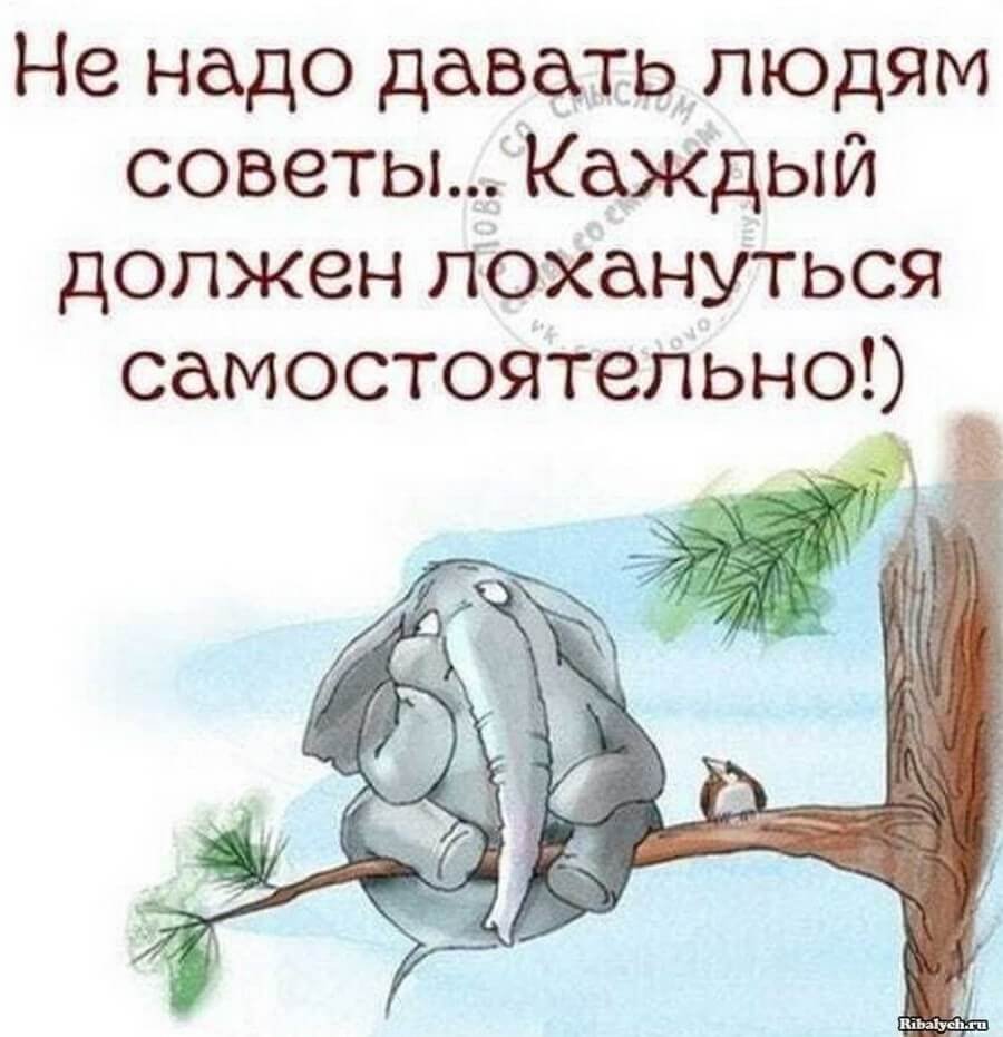 Смешные цитаты