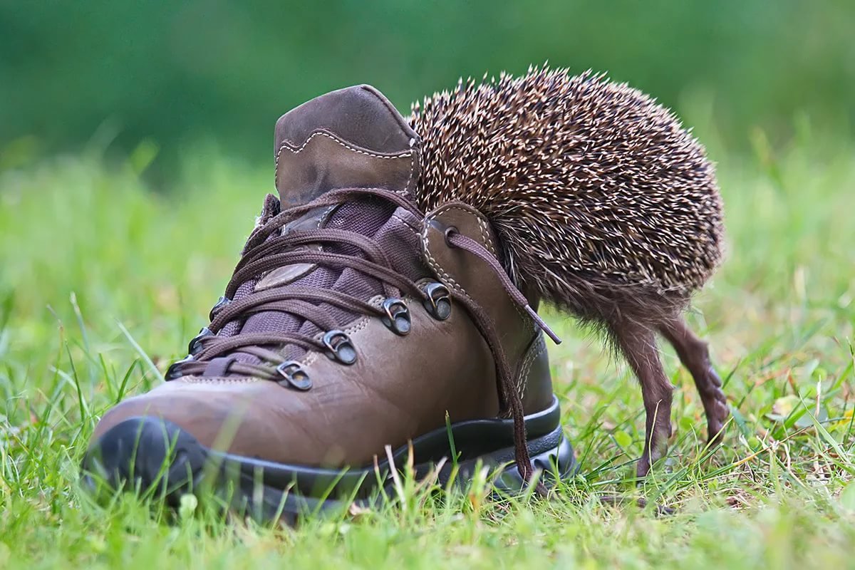 Картинки со смыслом смешные