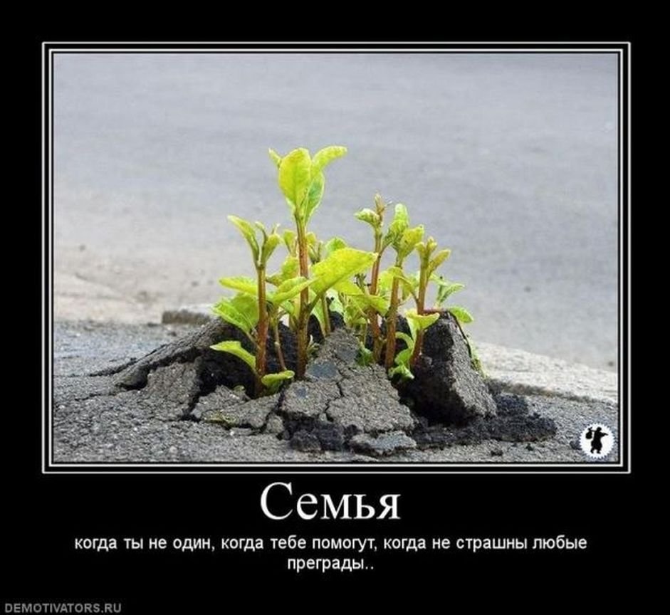 Демотиваторы про жизнь