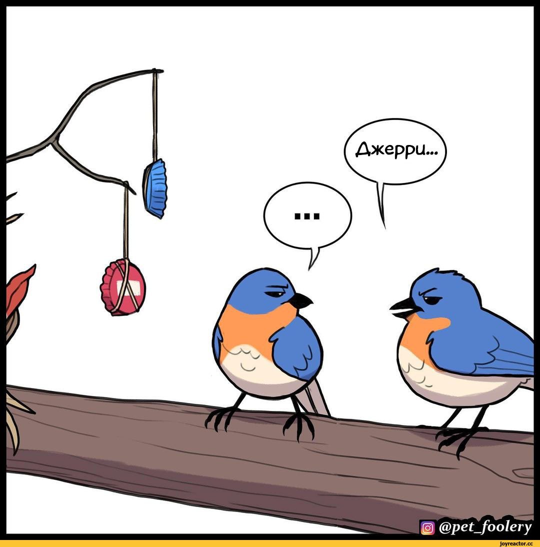 А что тут пить