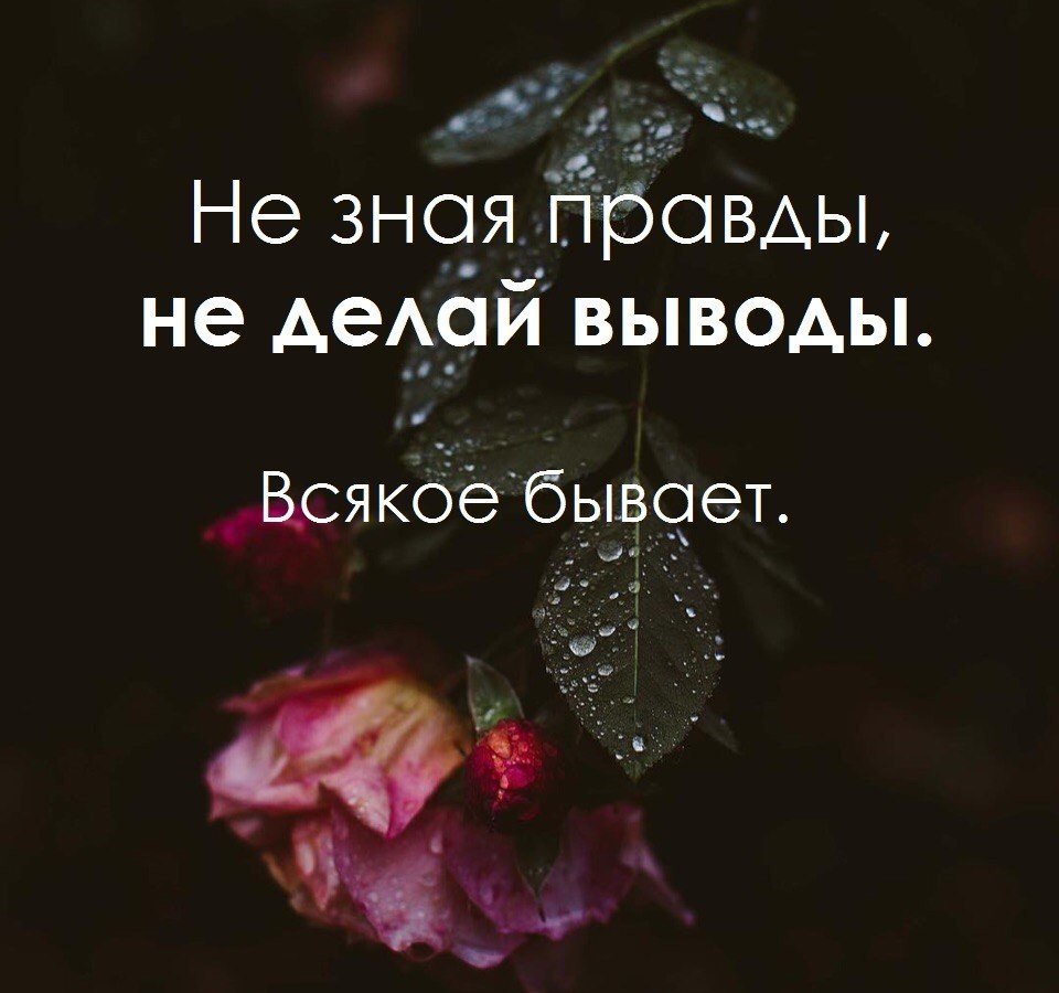 Не зная правды не делай выводы