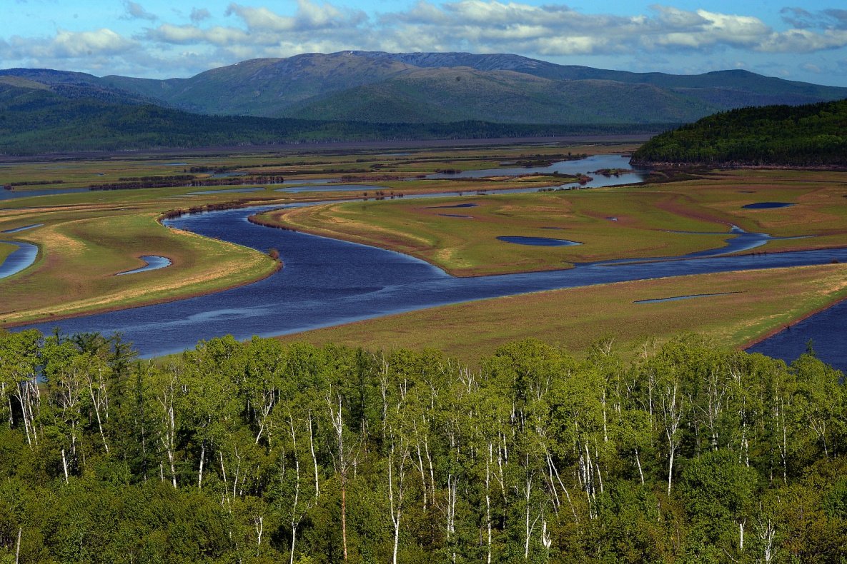 Комсомольский заповедник Хабаровский край