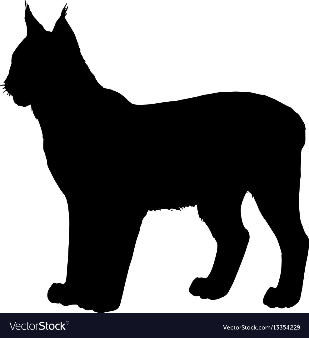 Тени животных