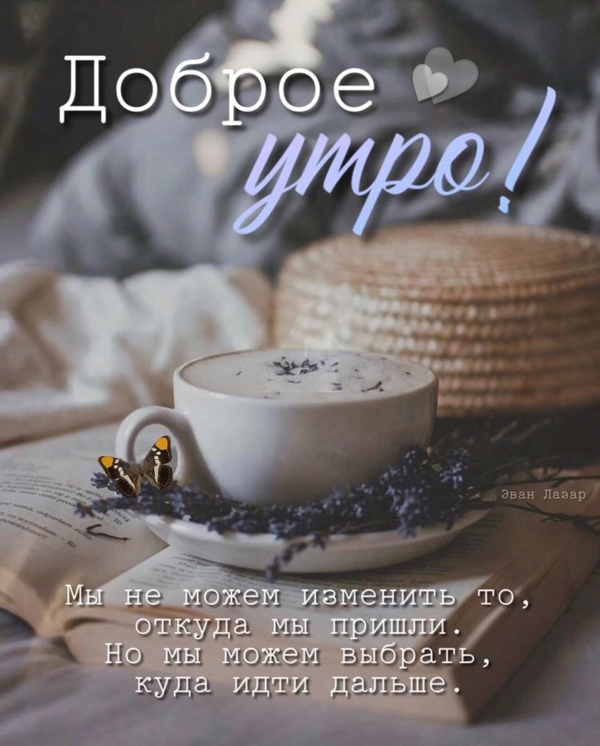 Эван Лазар цитаты