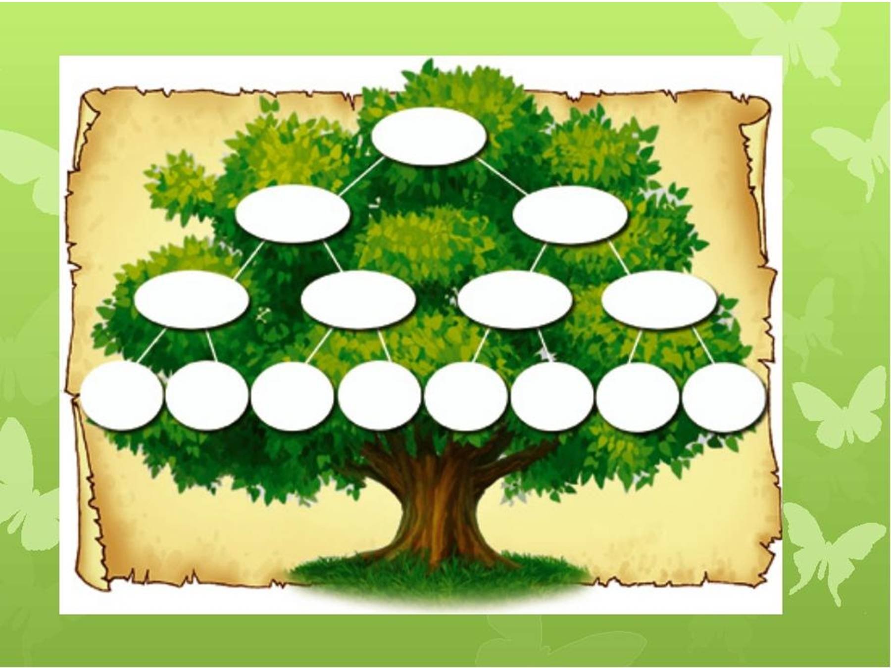 Родословное дерево шаблон