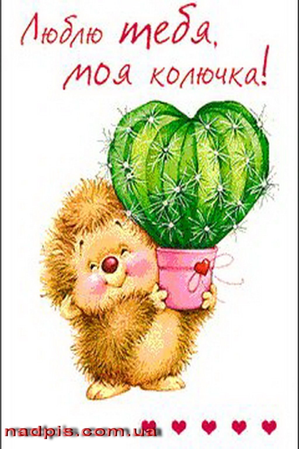 Котики вперед пора в горы