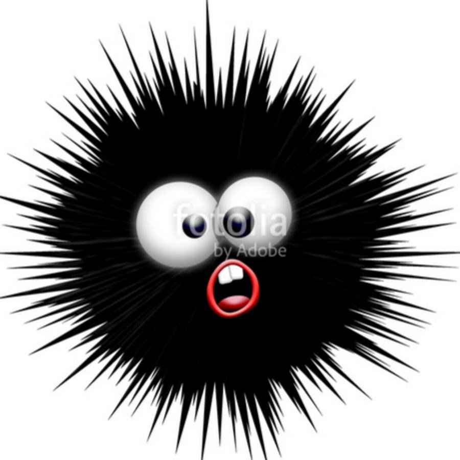 Любимая колючка