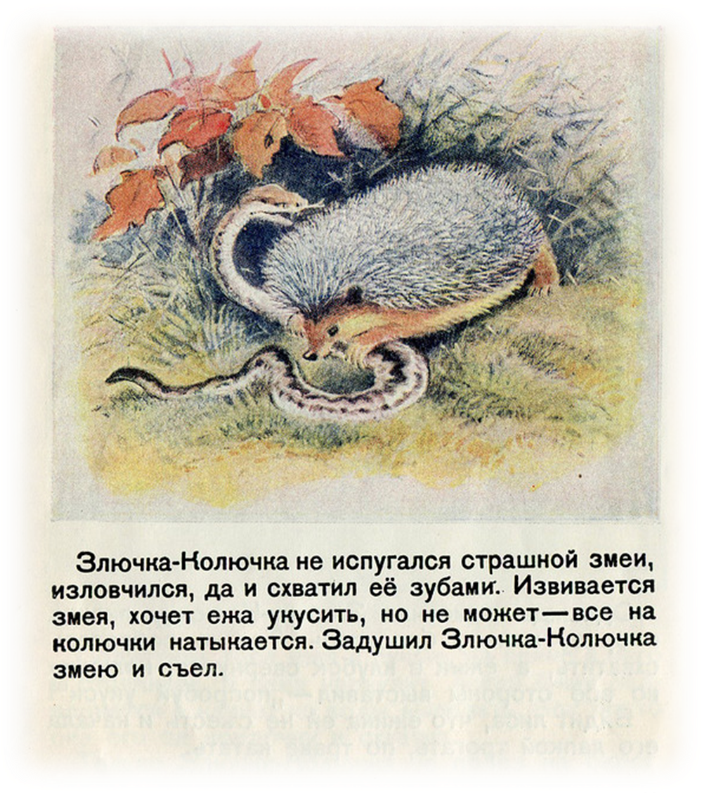 Злючка грязючка