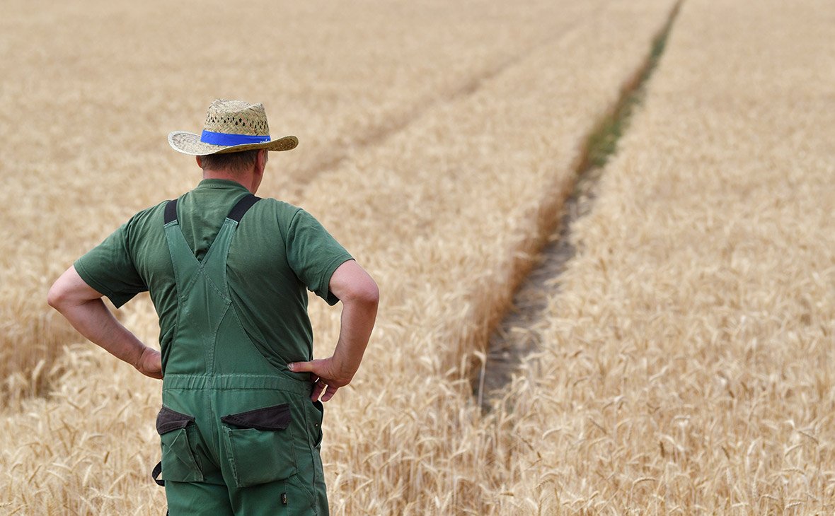 Фермер в поле