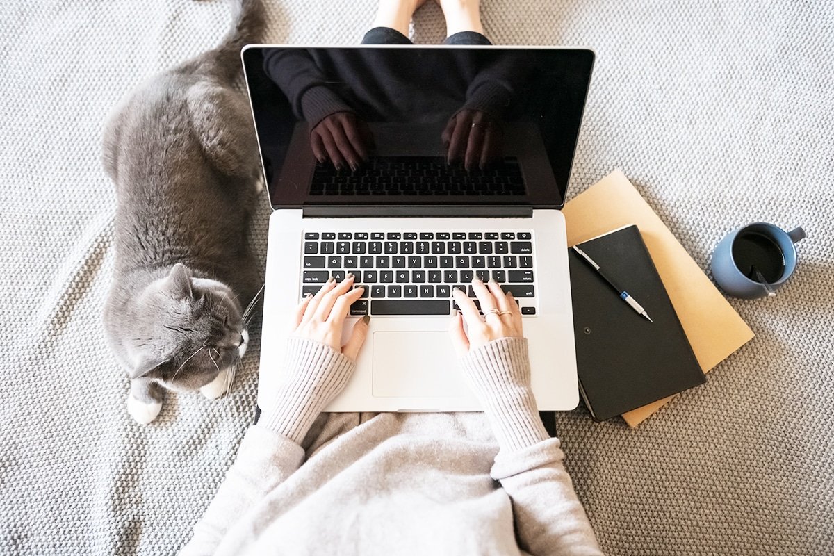 Кот на работе