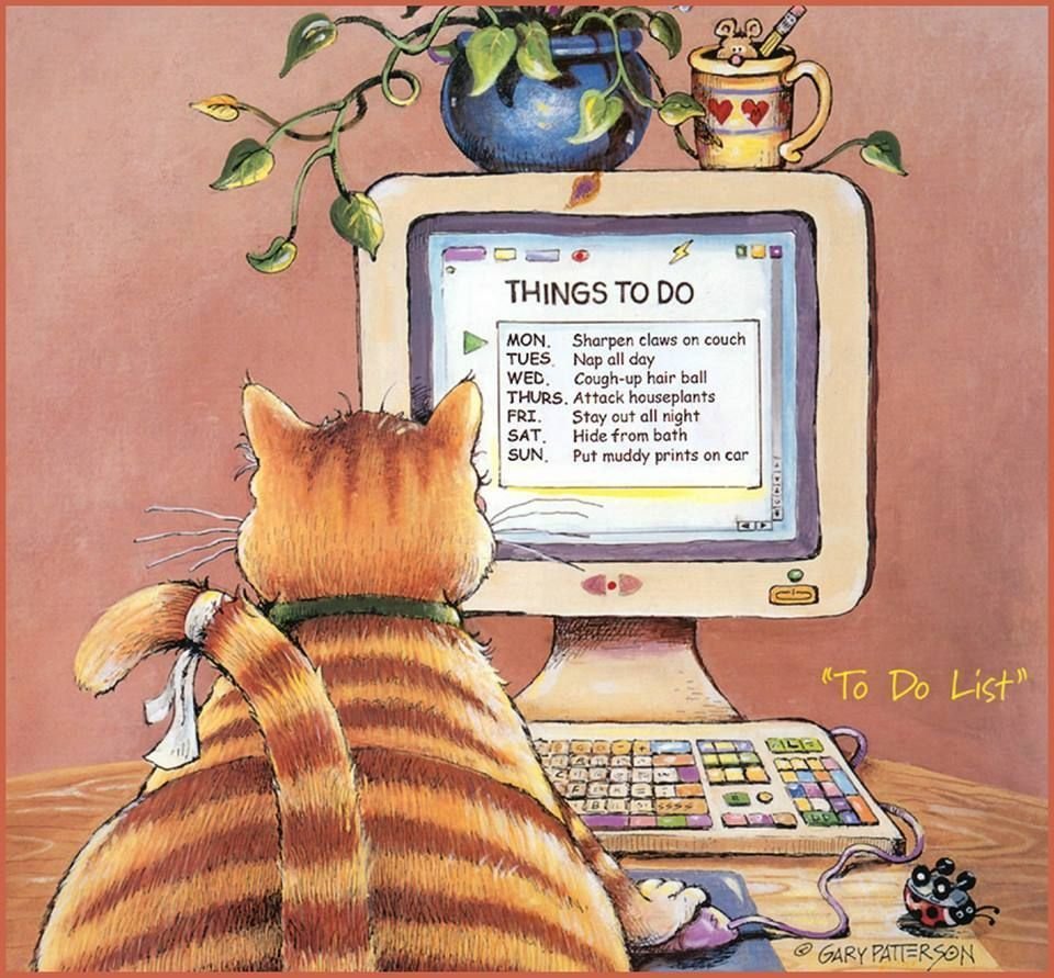 Кот за ноутом