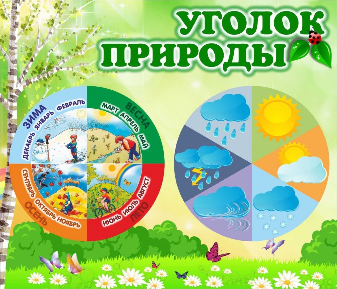 Календарь природы для детей