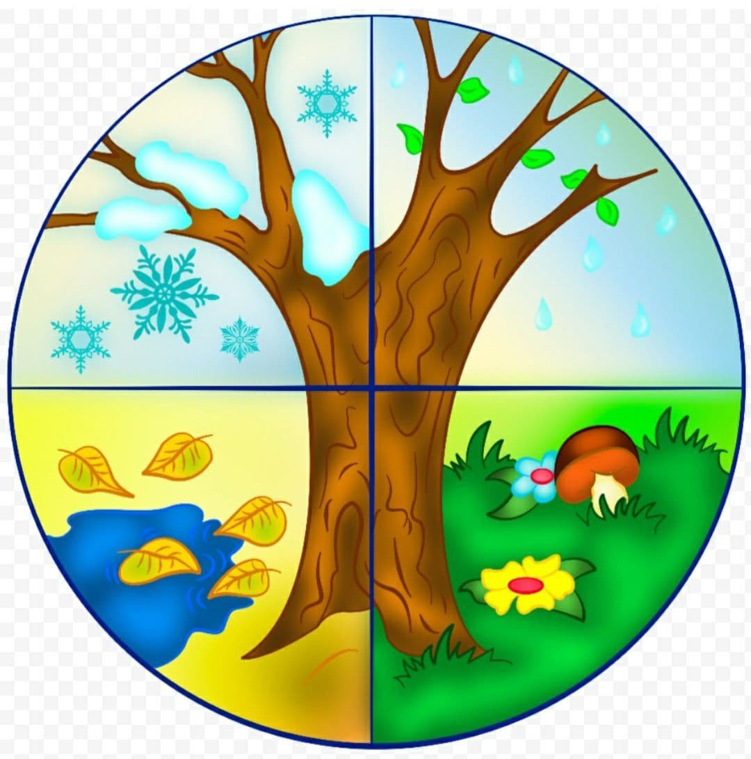 Стенд "уголок природы"