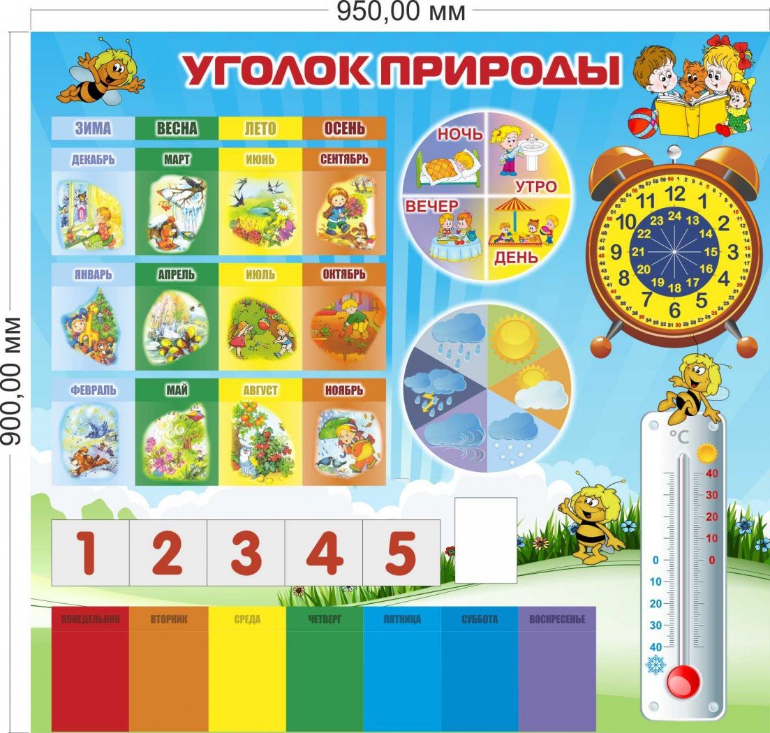 Уголок природы