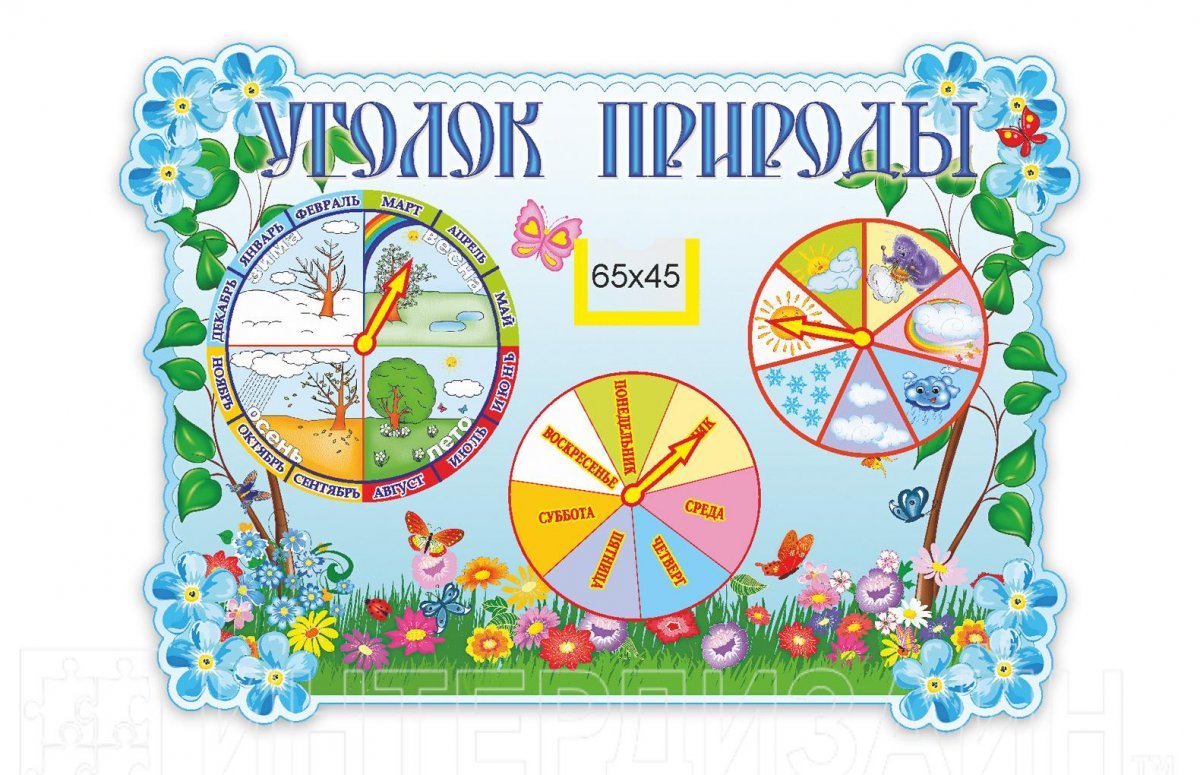 Календарь природы в старшей группе своими руками