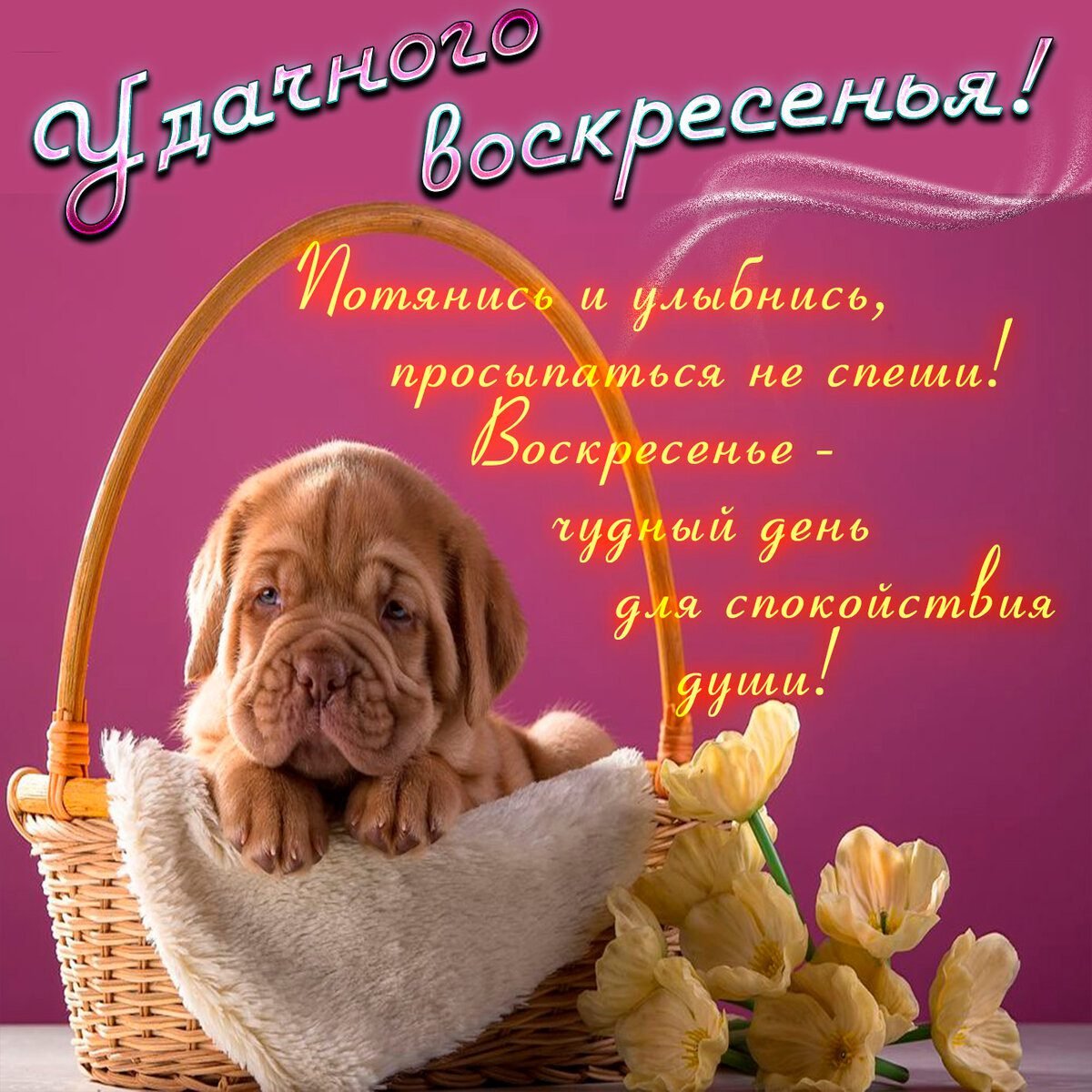 Пожелания на воскресенье