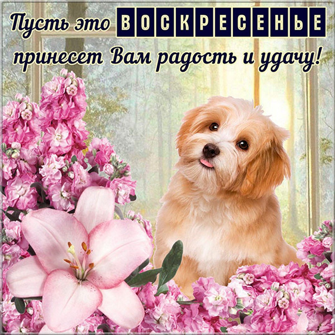 Солнечного настроения в Воскресный день