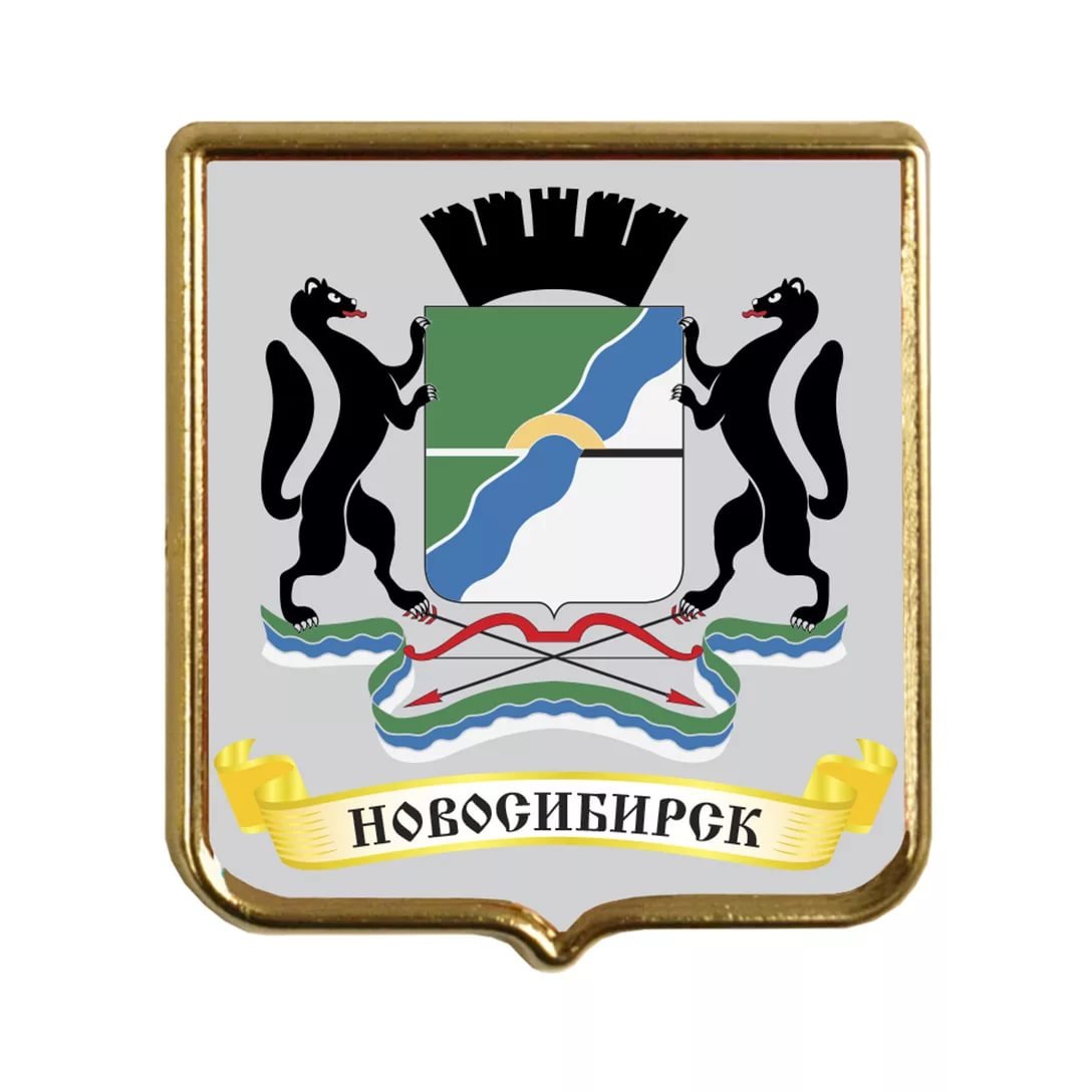 Мэрия города Новосибирска логотип