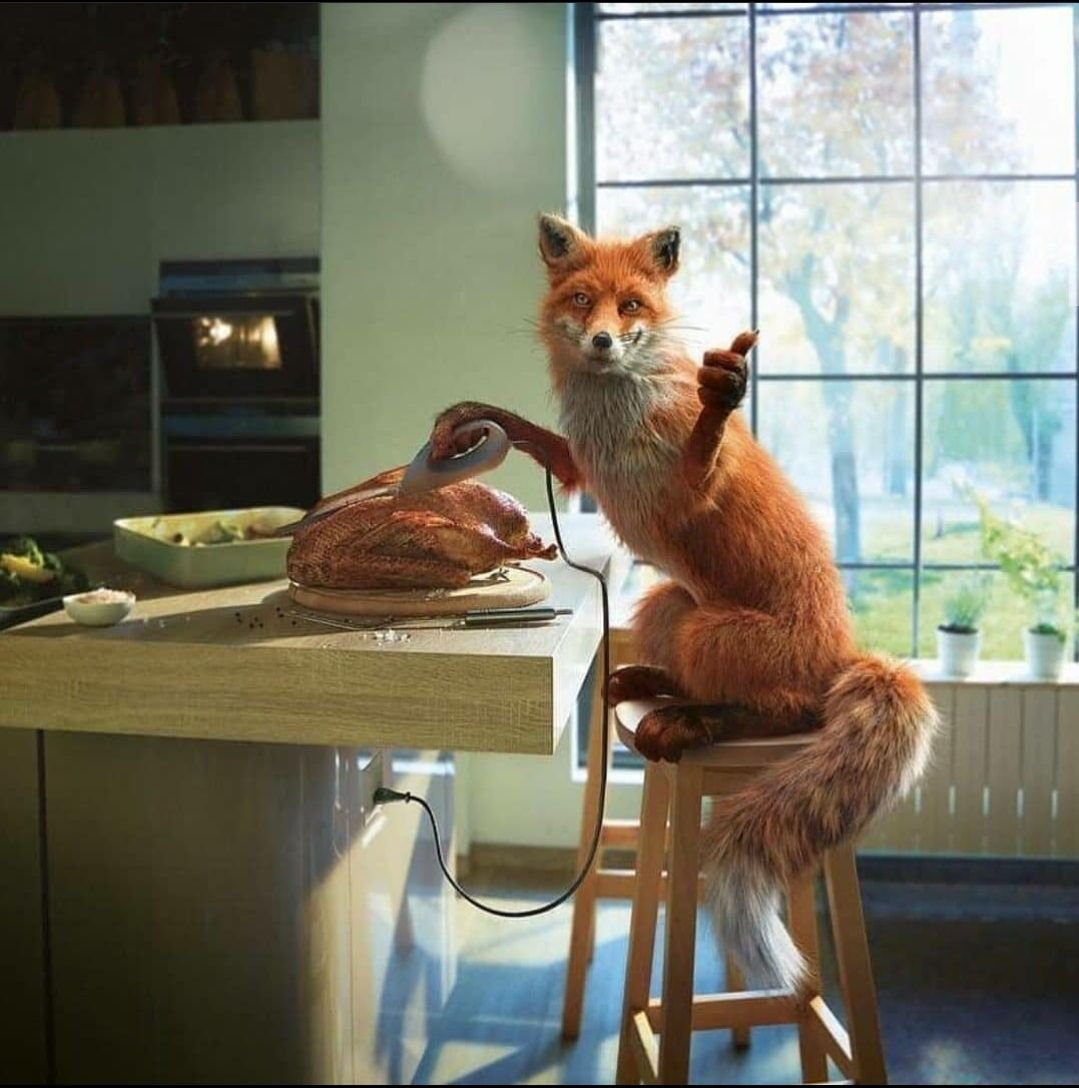 Доброе утречко Лисичка