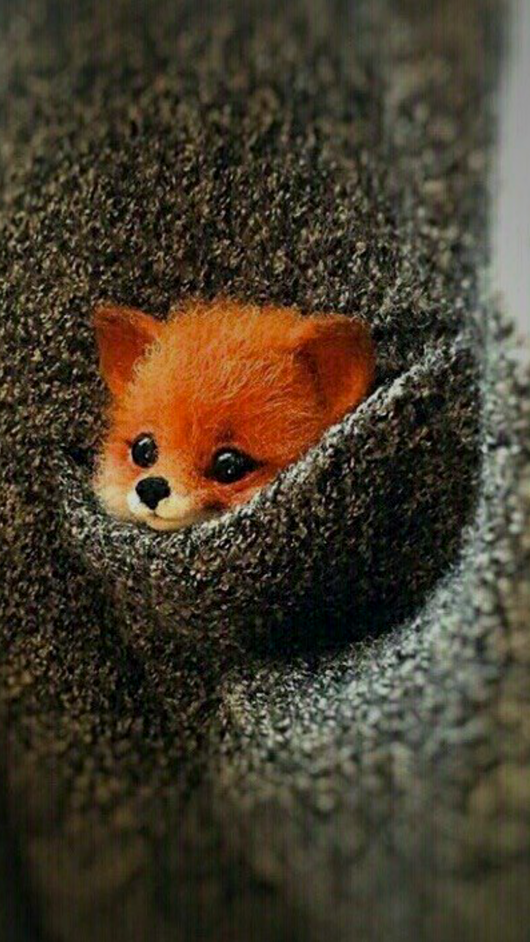 Приключения Лисенка Олли