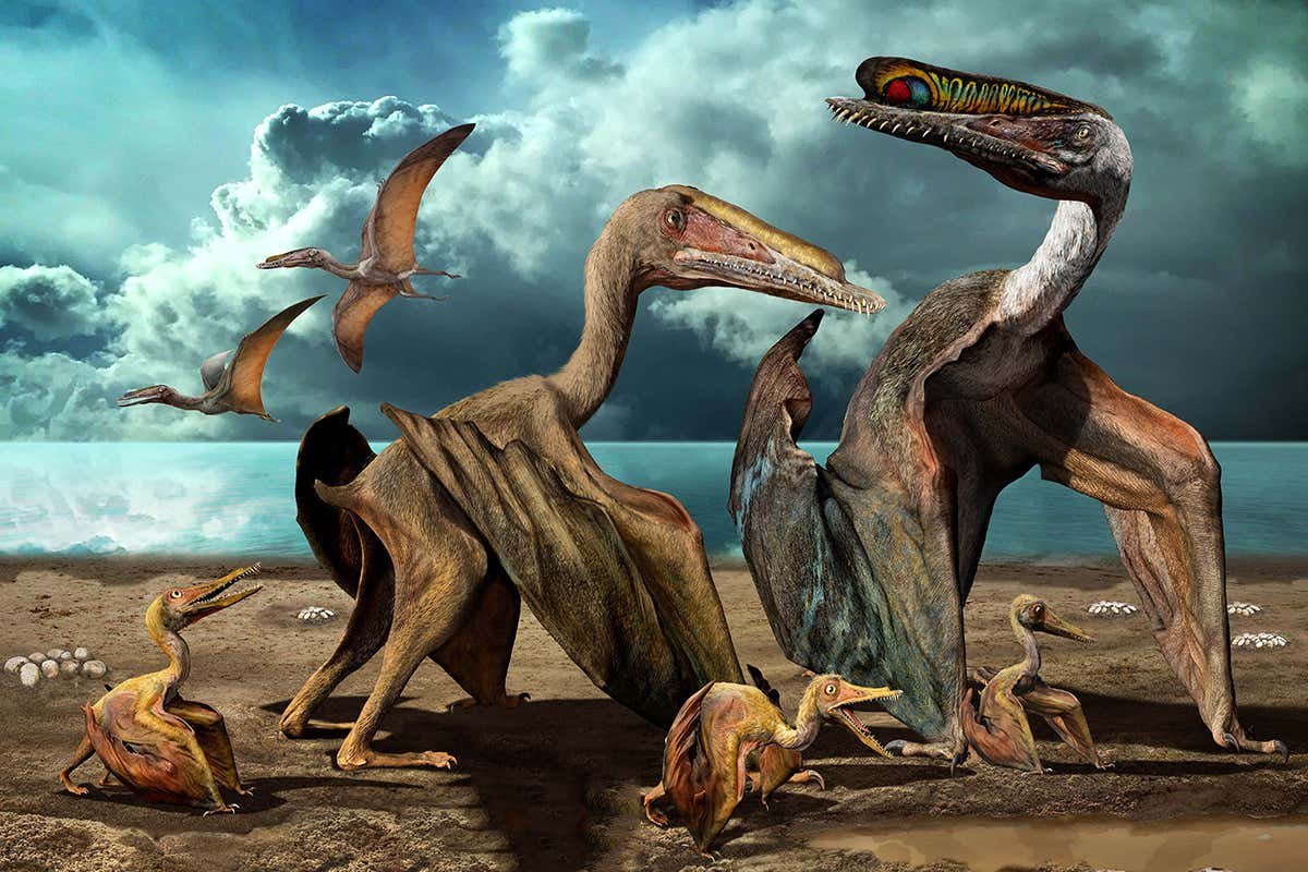 Воздушная рептилия. Птерозавры Триасового периода. Юрский период птеродактиль. Hamipterus tianshanensis. Птерозавры Юрского периода.