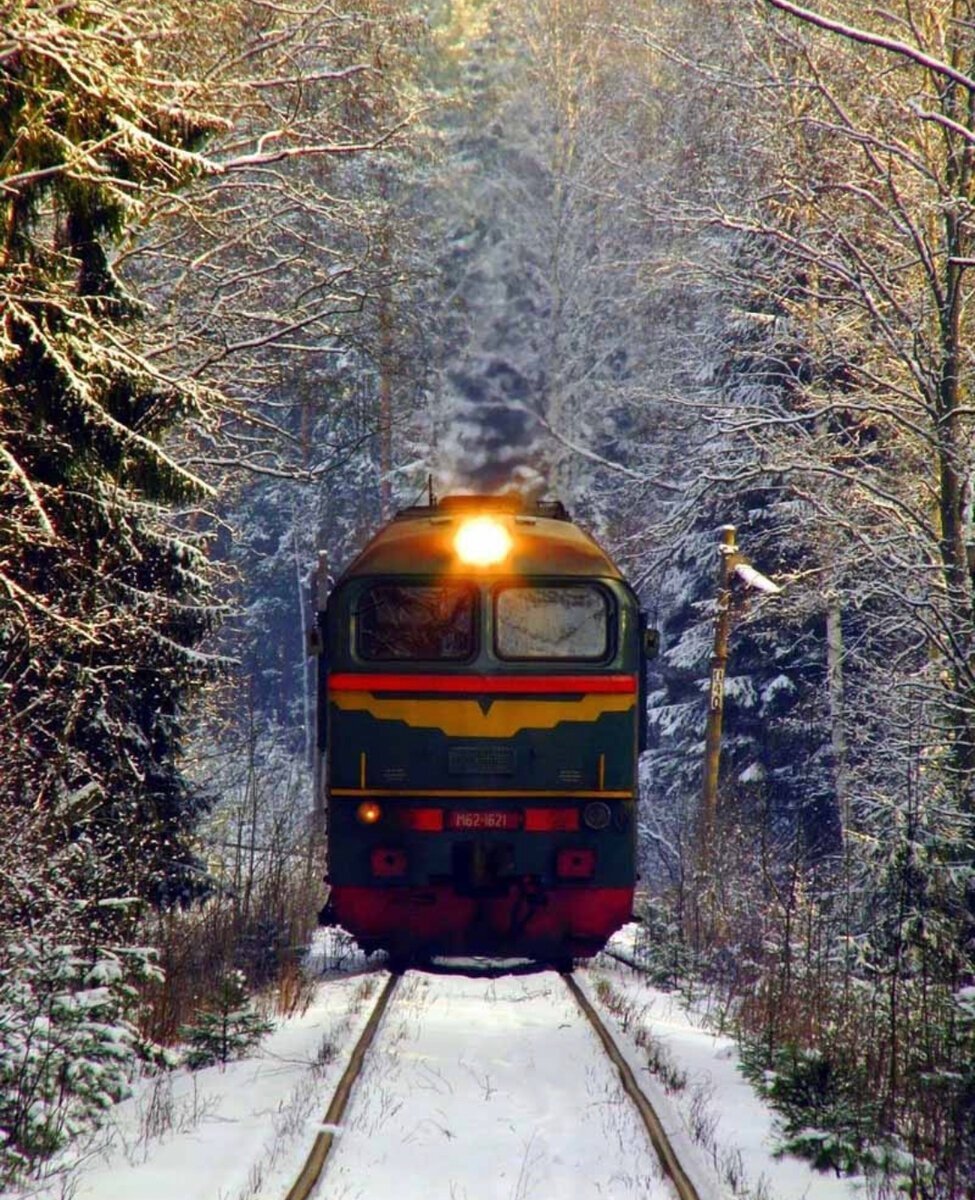 Красивый поезд