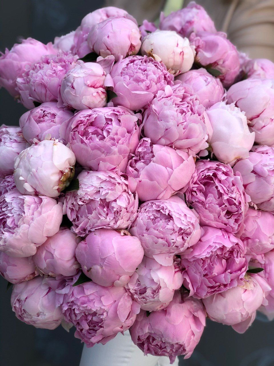 Поле пионов